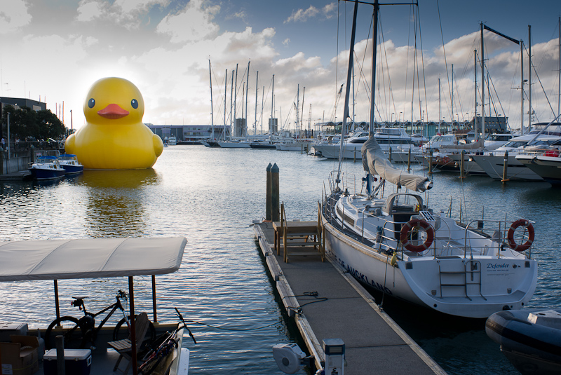 Yellow Duck in Auckland Harbour